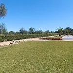 빌라 Quinta Do Lagar - 07
